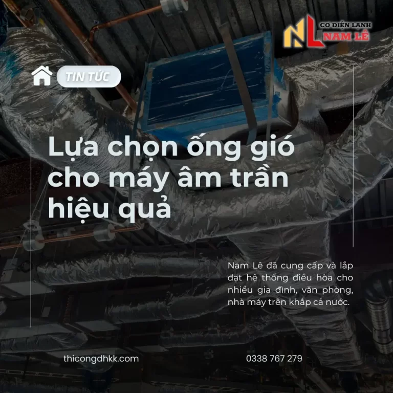 image tintuc namle 81 nl