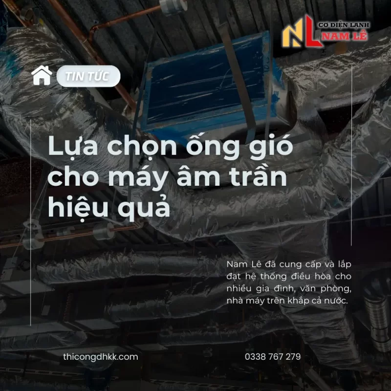 image tintuc namle 81 nl